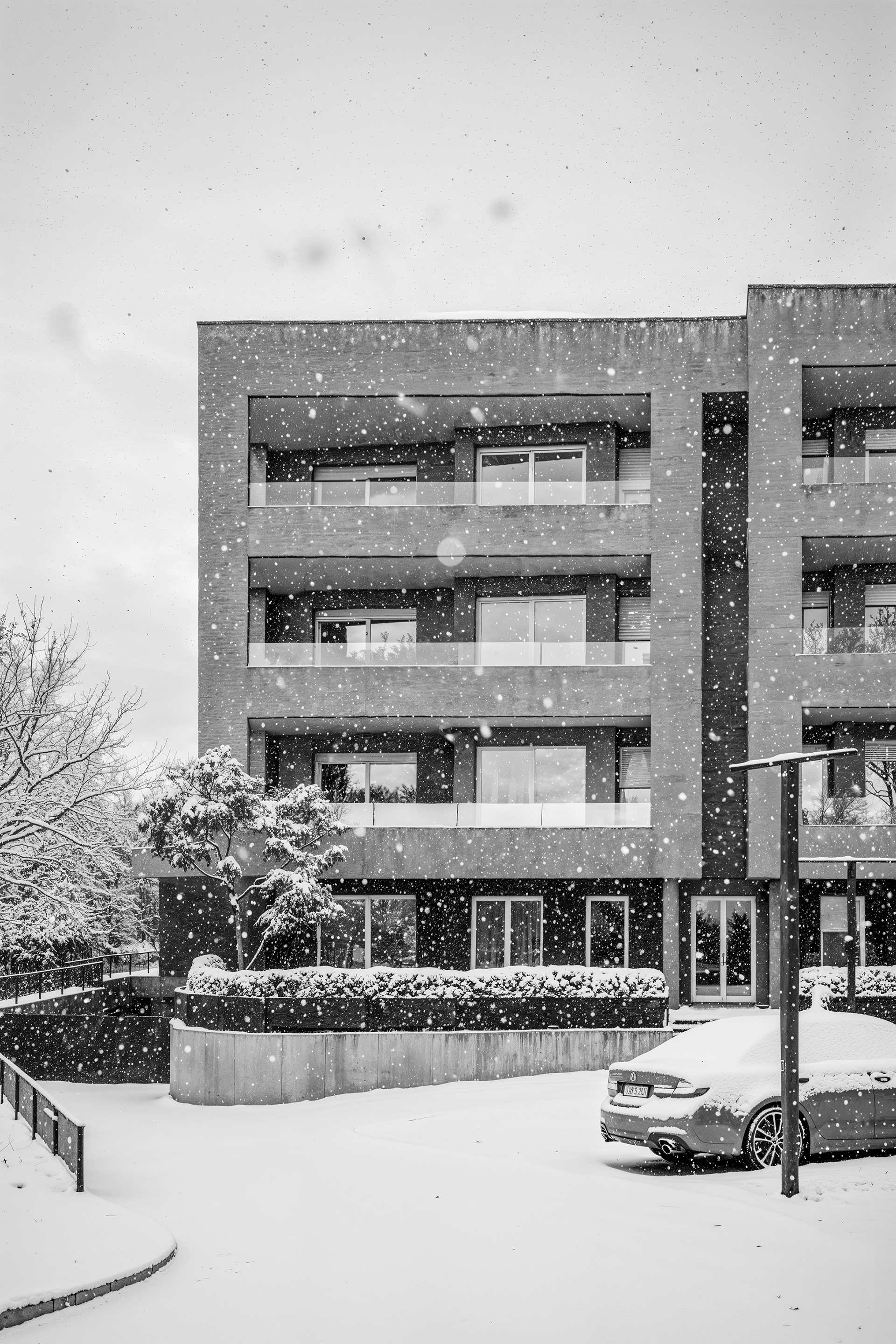 Bologna Hills Housing
