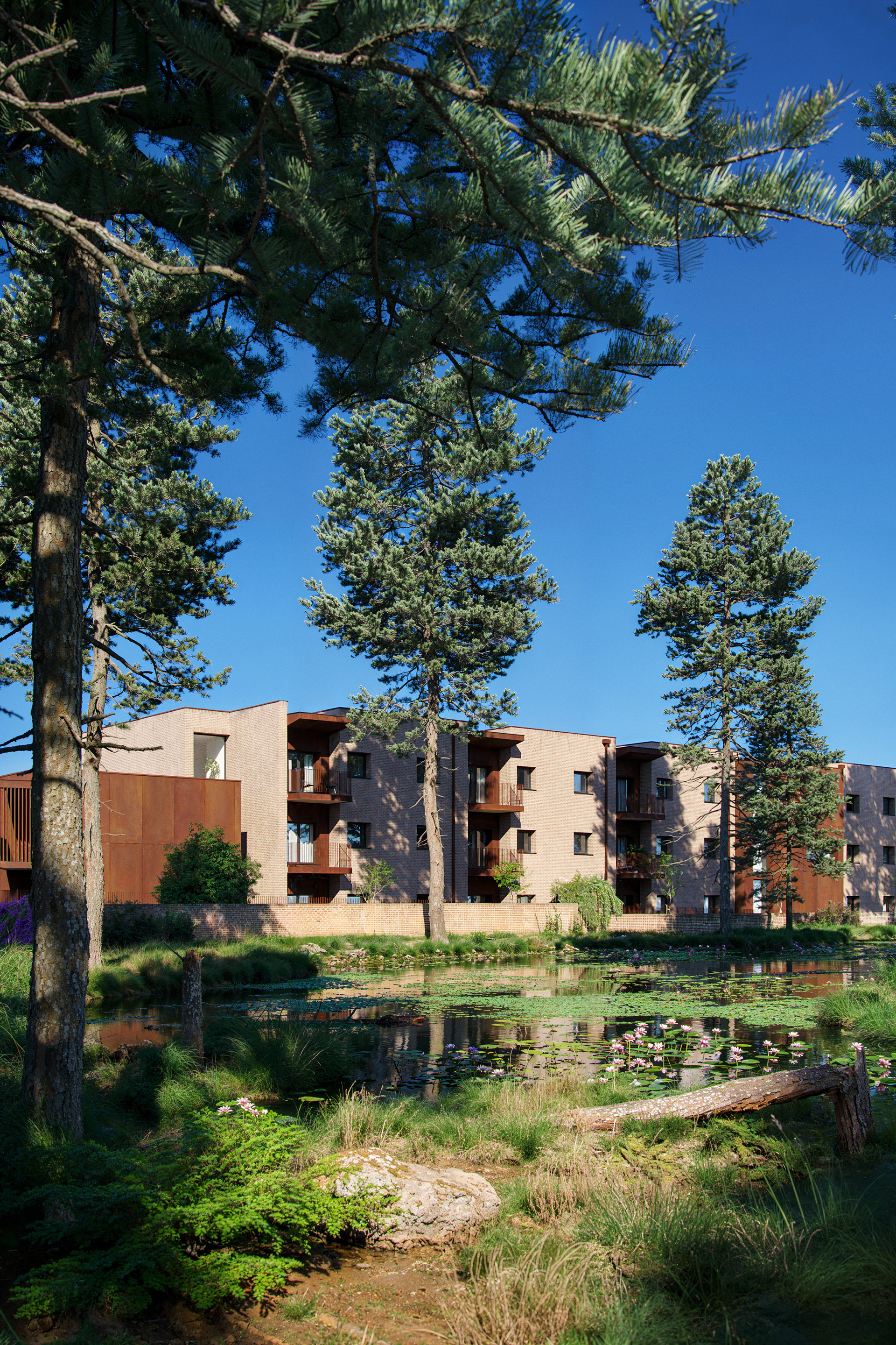 New Sheltered Accommodation